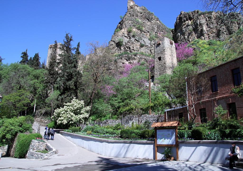 Apartment On Botanikuri Tbilisi Phòng bức ảnh