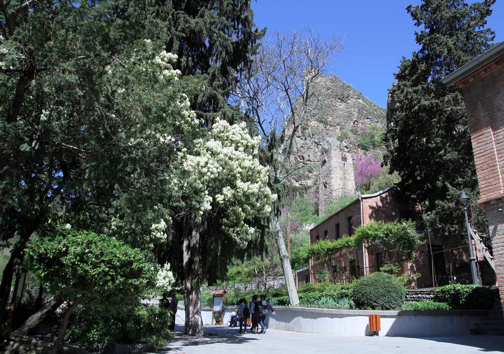Apartment On Botanikuri Tbilisi Phòng bức ảnh