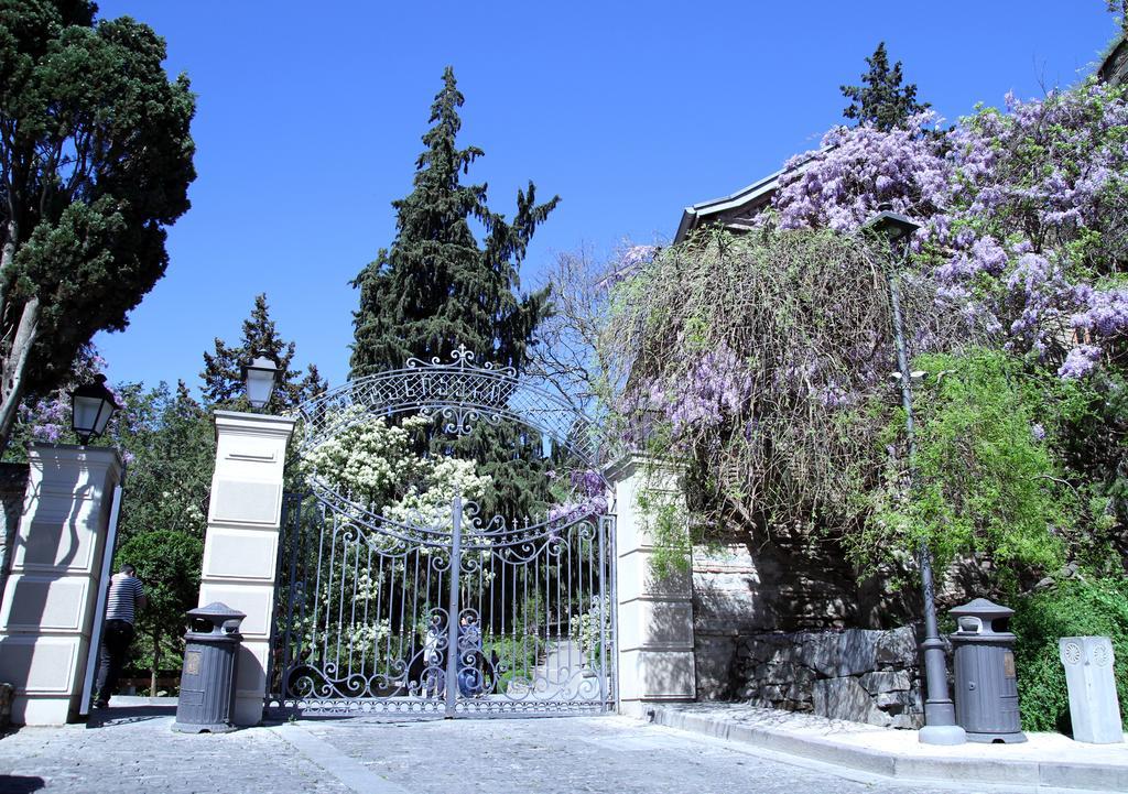 Apartment On Botanikuri Tbilisi Phòng bức ảnh